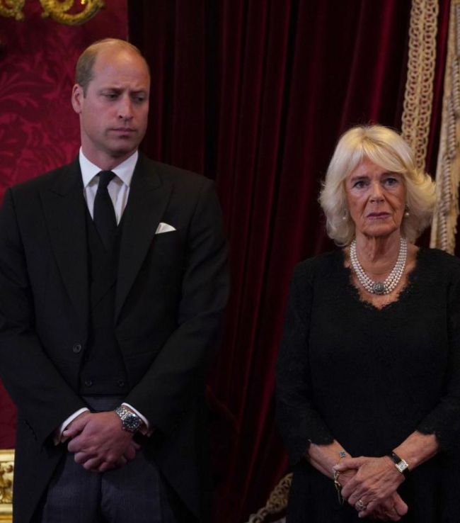 Prince William and Queen Camilla 