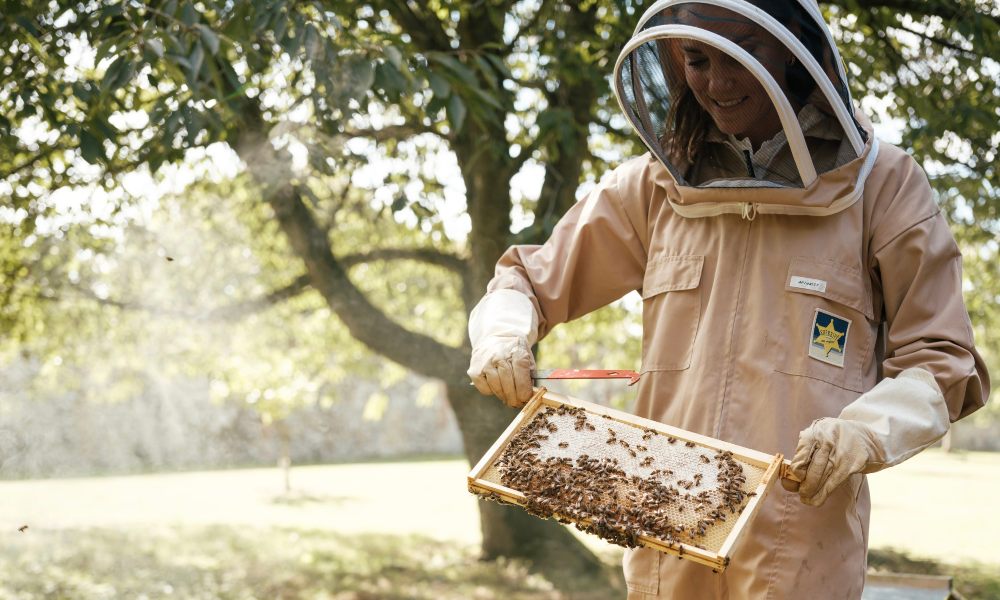 Princess Kate Tends To A Beehive In Unseen Photo For World Bee Day
