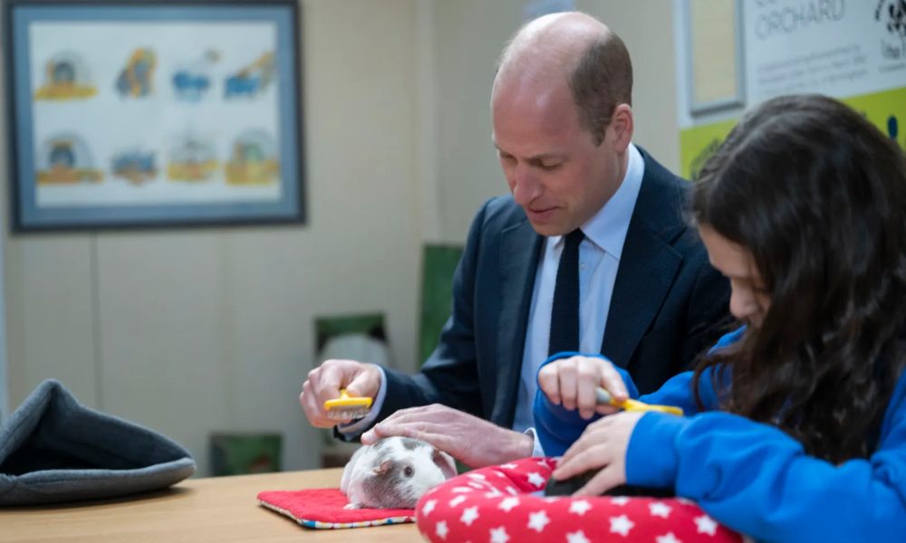Prince William And Kate Welcome A New Pet Into Their Family