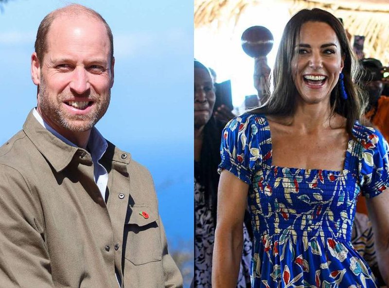 _Prince William Shares Princess Kate's Reaction to His Cape Town Trip While She Stays Home with the