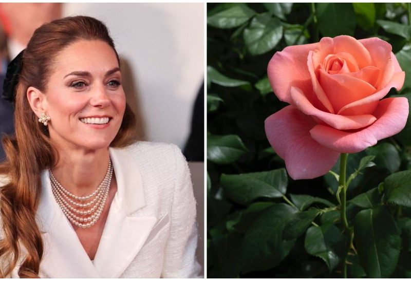 'Catherine's Rose' Celebrates Princess Kate's Commitment To Healing And Nature