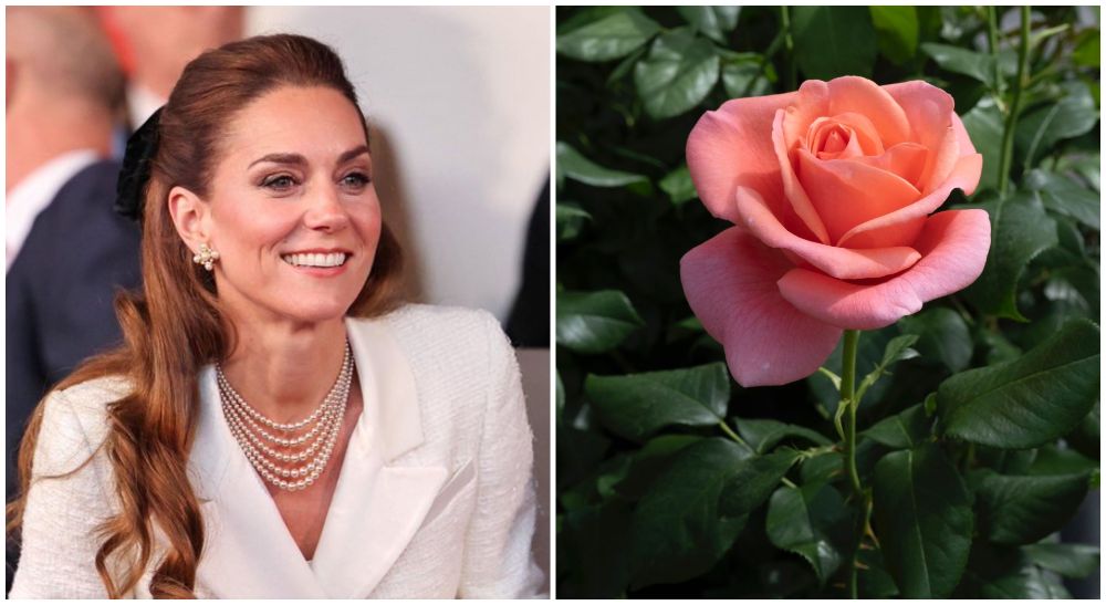 'Catherine's Rose' Celebrates Princess Kate's Commitment To Healing And Nature