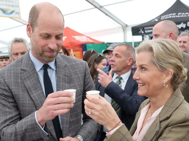 Prince William and Duchess Sophie Light Up Cornwall During Rare Joint Engagement